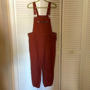 Wild Fable Burnt Orange Overalls